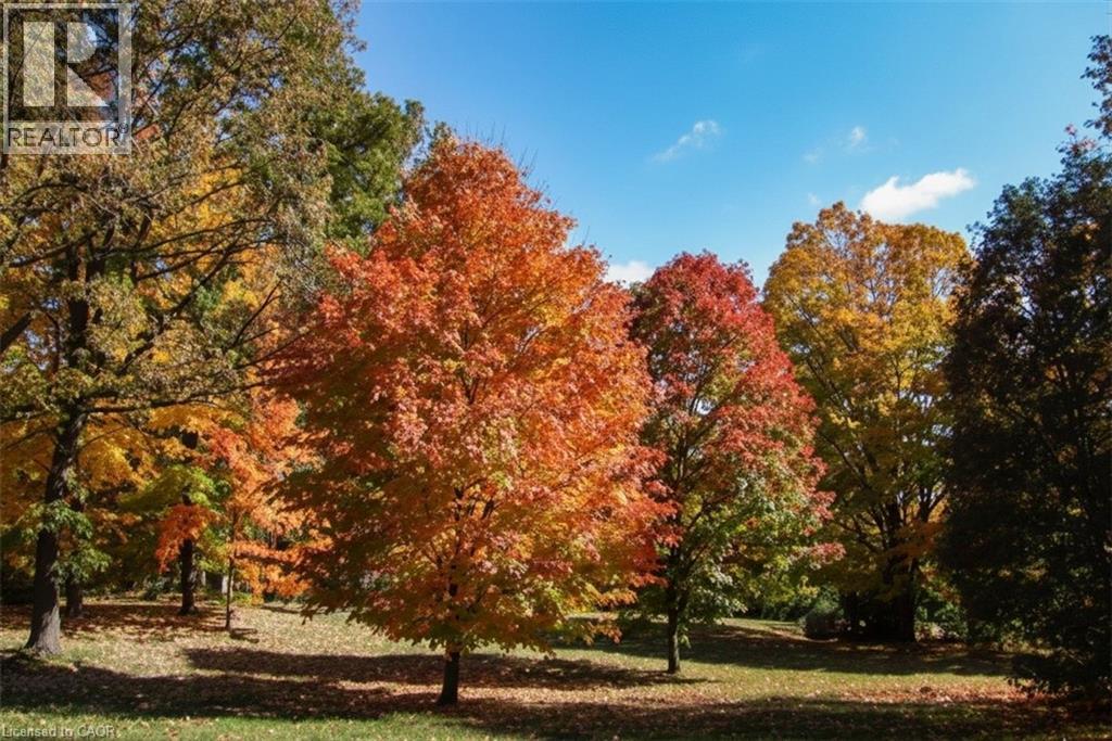 126 Grandview Drive, Conestogo, Ontario  N0B 1N0 - Photo 43 - 40794490