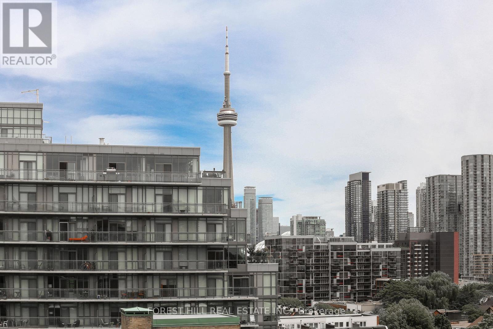 1002 - 801 King Street W, Toronto, Ontario  M5V 3C9 - Photo 17 - C12779848