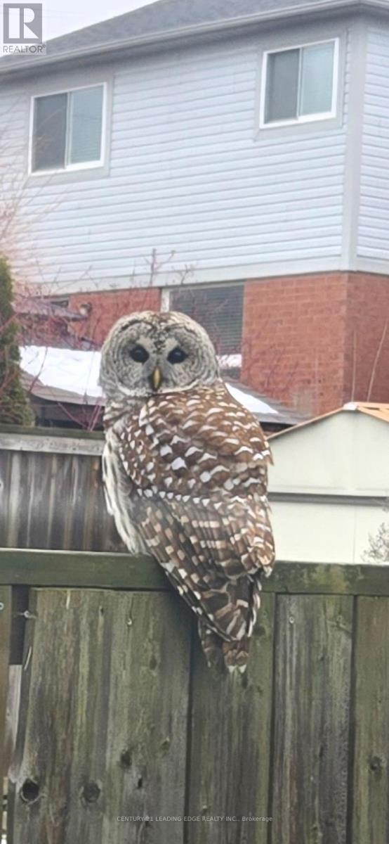 181 Bottrell Street, Clarington, Ontario  L1C 5M9 - Photo 50 - E12778874