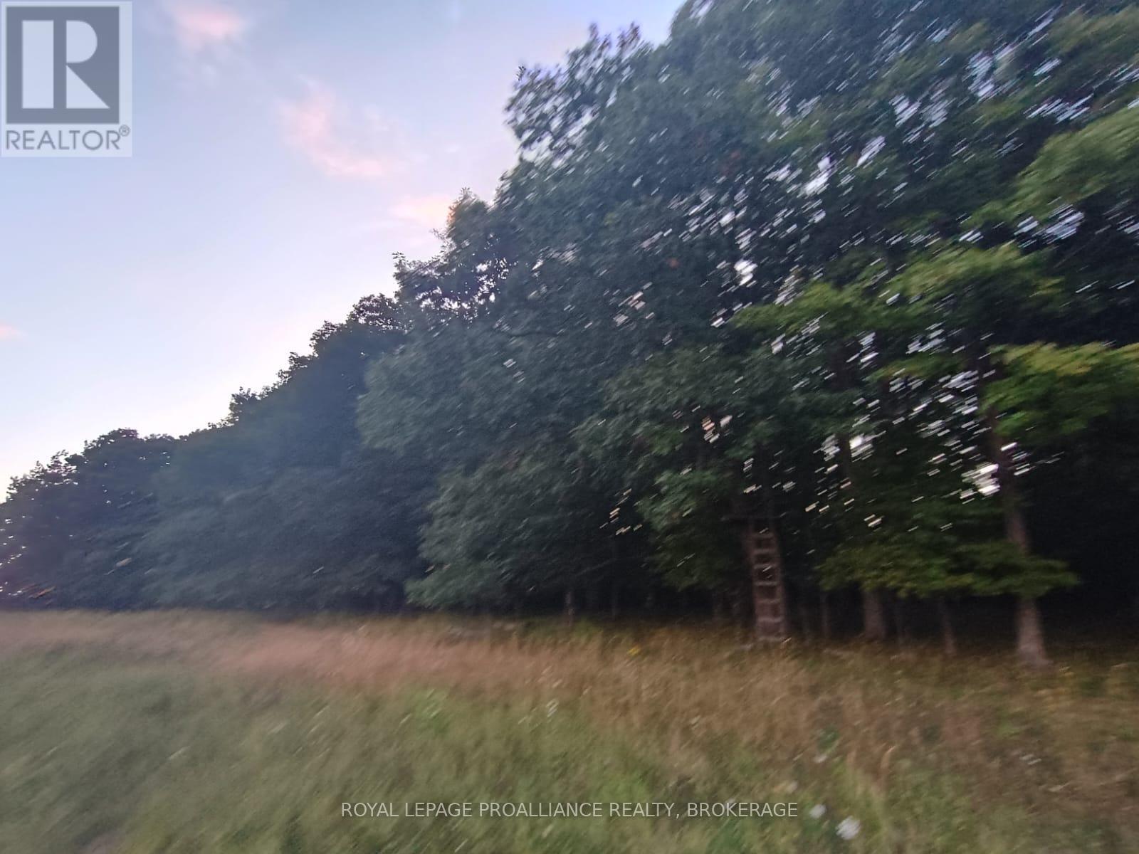 Pt Lt 8 Road 96, Frontenac Islands, Ontario  K0H 2Y0 - Photo 12 - X12399280