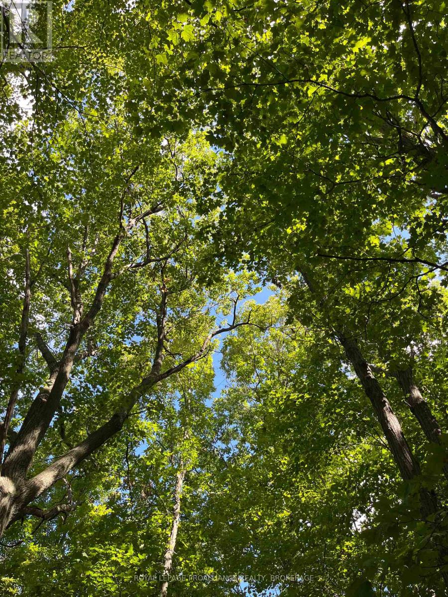 Pt Lt 8 Road 96, Frontenac Islands, Ontario  K0H 2Y0 - Photo 19 - X12399280