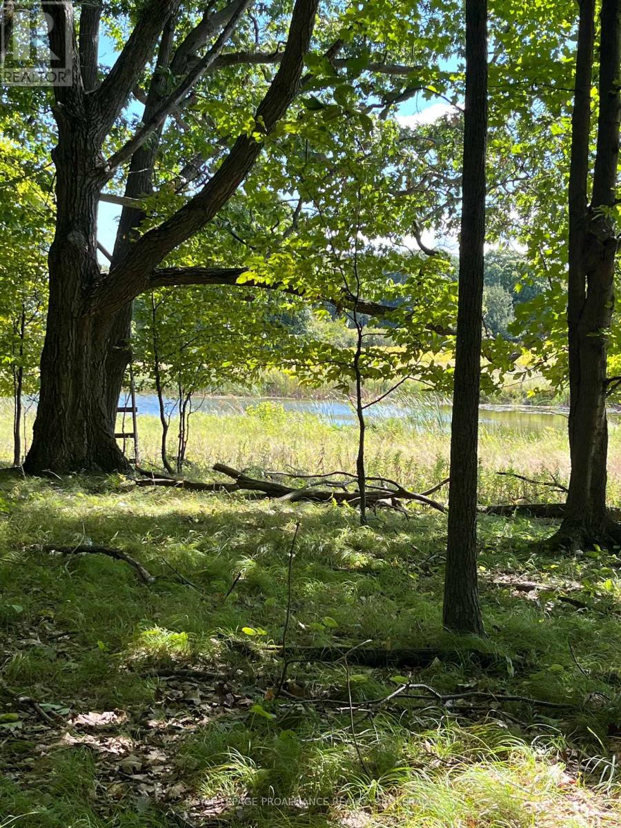 Pt Lt 8 Road 96, Frontenac Islands, Ontario  K0H 2Y0 - Photo 20 - X12399280