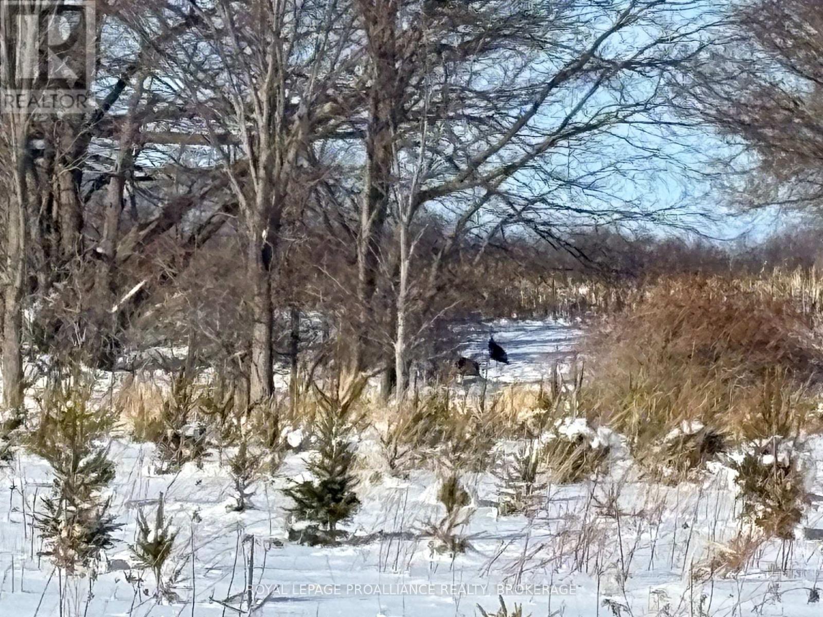 Pt Lt 8 Road 96, Frontenac Islands, Ontario  K0H 2Y0 - Photo 4 - X12399280