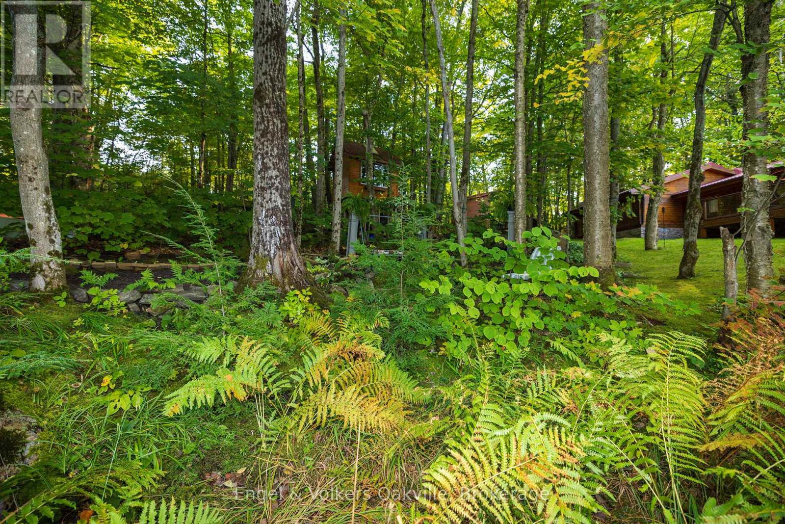 99 Dayeo Drive, Georgian Bay, Ontario  P0C 1H0 - Photo 14 - X12780062