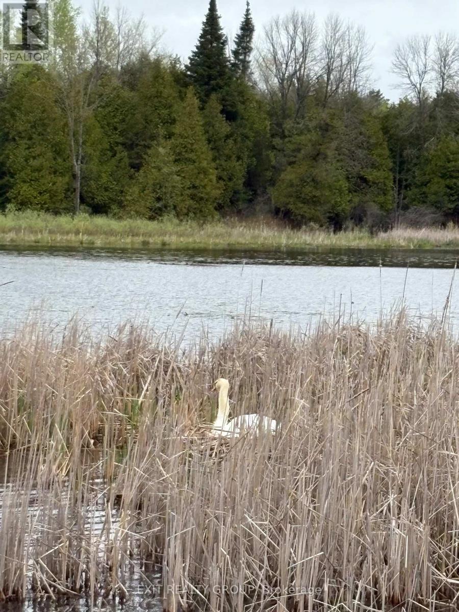 Lot 2 Hennessy Street, Prince Edward County, Ontario  K8N 4Z7 - Photo 3 - X12779392