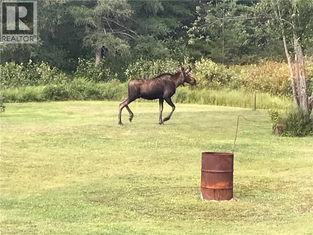 1650 Purbrook Road, Bracebridge, Ontario  P1L 1X3 - Photo 42 - 40804356