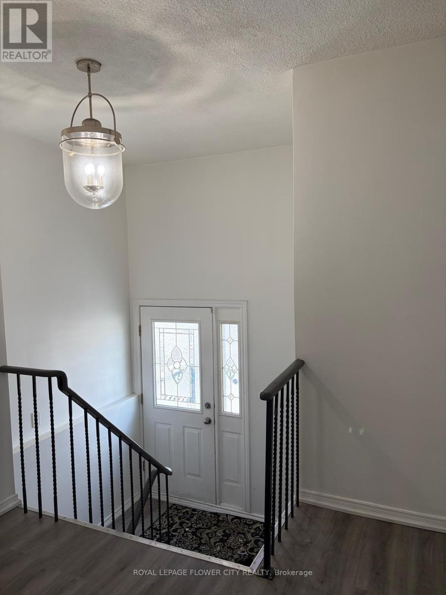 66 Skelton Boulevard, Brampton, Ontario  L6V 2P6 - Photo 4 - W12780080