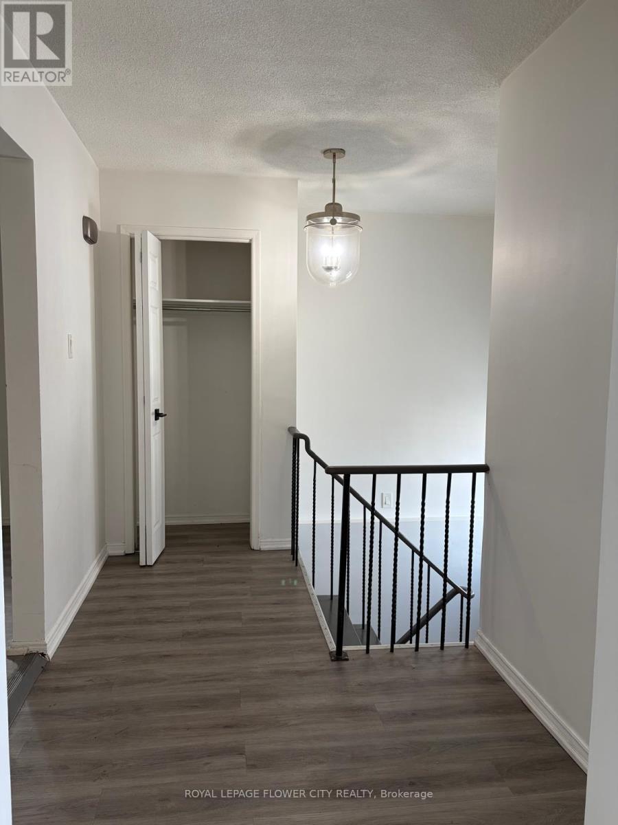 66 Skelton Boulevard, Brampton, Ontario  L6V 2P6 - Photo 8 - W12780080