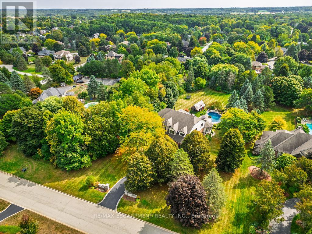 12 Blackberry Place, Hamilton, Ontario  L0R 1H2 - Photo 3 - X12780032