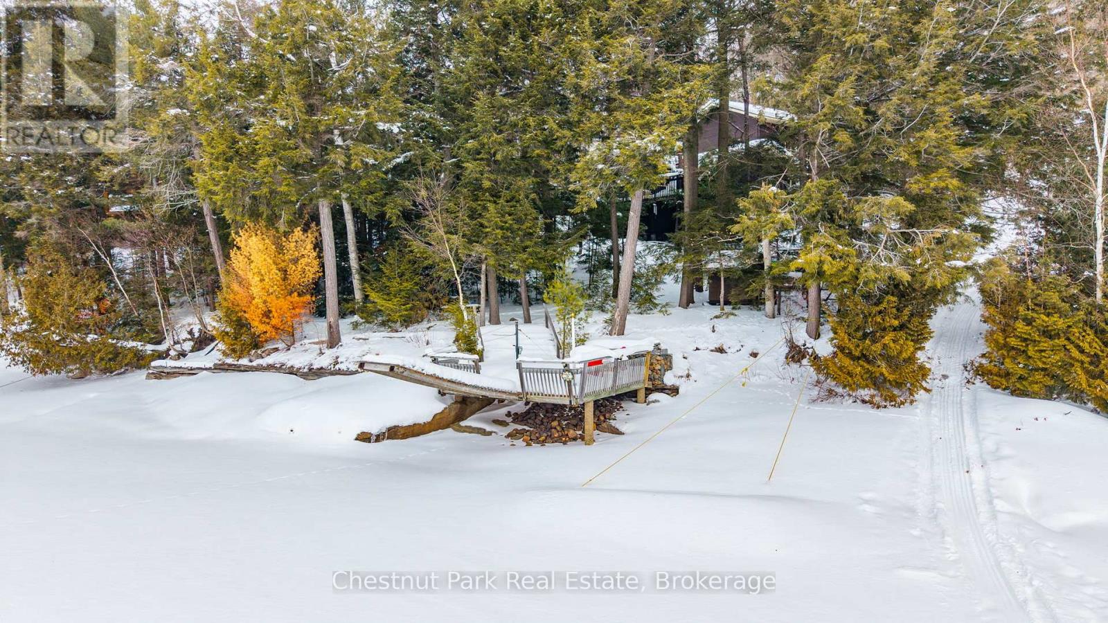 1173 Watts Road, Dysart Et Al, Ontario  K0M 1S0 - Photo 39 - X12780112