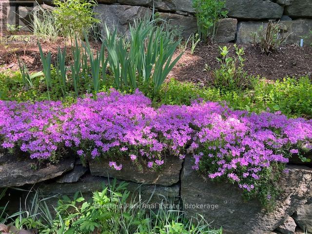 1173 Watts Road, Dysart Et Al, Ontario  K0M 1S0 - Photo 50 - X12780112