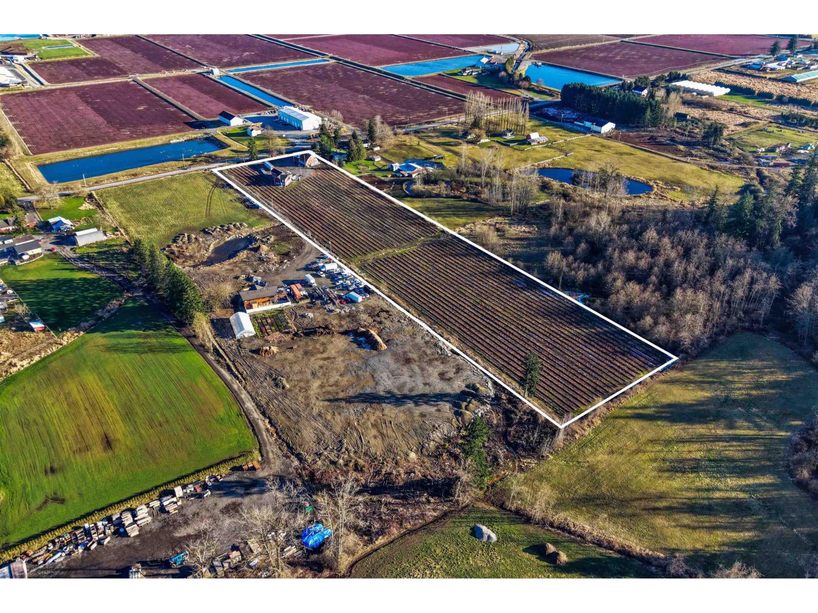 2157 224 Street, Langley, British Columbia  V2Z 2Z2 - Photo 30 - R3087831