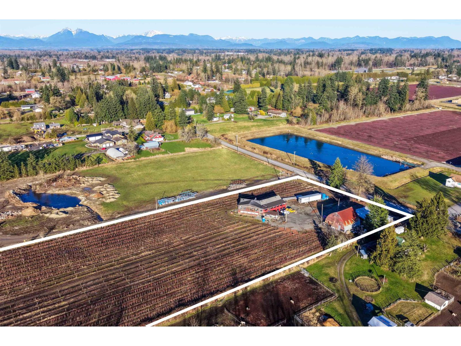 2157 224 Street, Langley, British Columbia  V2Z 2Z2 - Photo 26 - R3087831