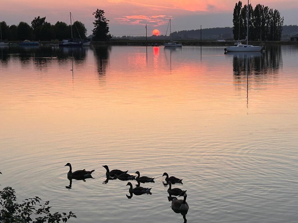 7 14085 Nico Wynd Place, Surrey, British Columbia  V4P 1J2 - Photo 38 - R3088637