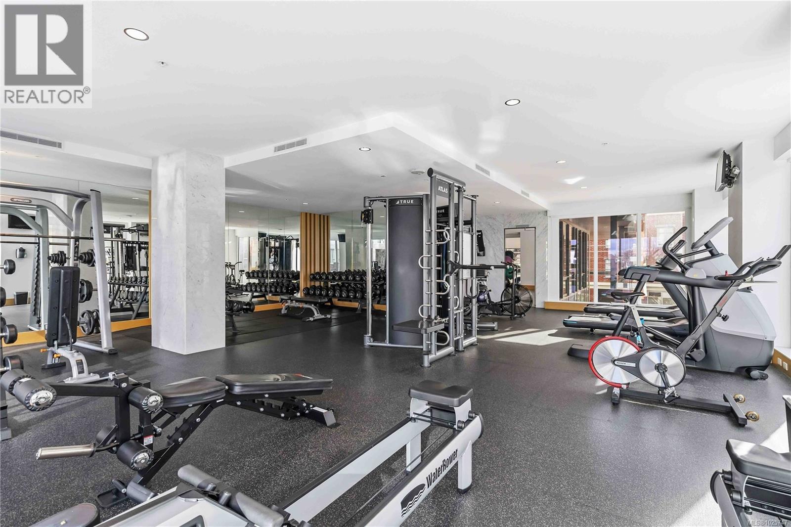 2005 777 Herald St, Victoria, British Columbia  V8T 0C7 - Photo 31 - 1025747