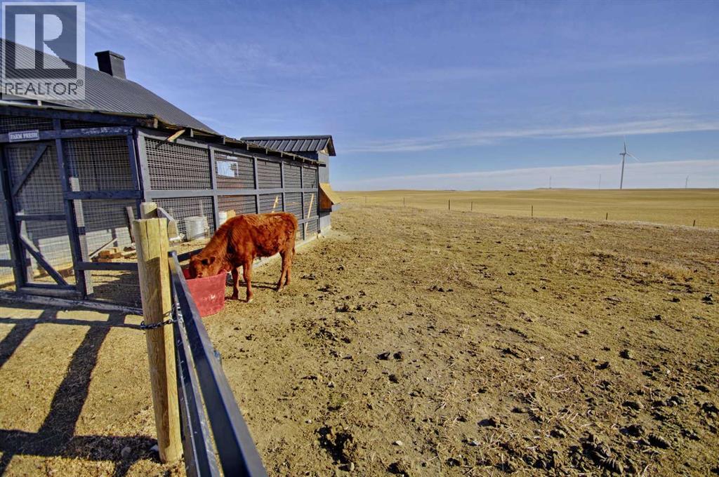 203043 Highway 531, Lomond, Alberta  T0L 1G0 - Photo 34 - A2285265