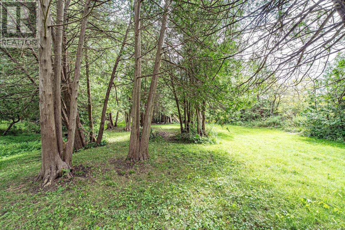 226 Thornton Avenue, Essa, Ontario  L0L 2N0 - Photo 31 - N12779886