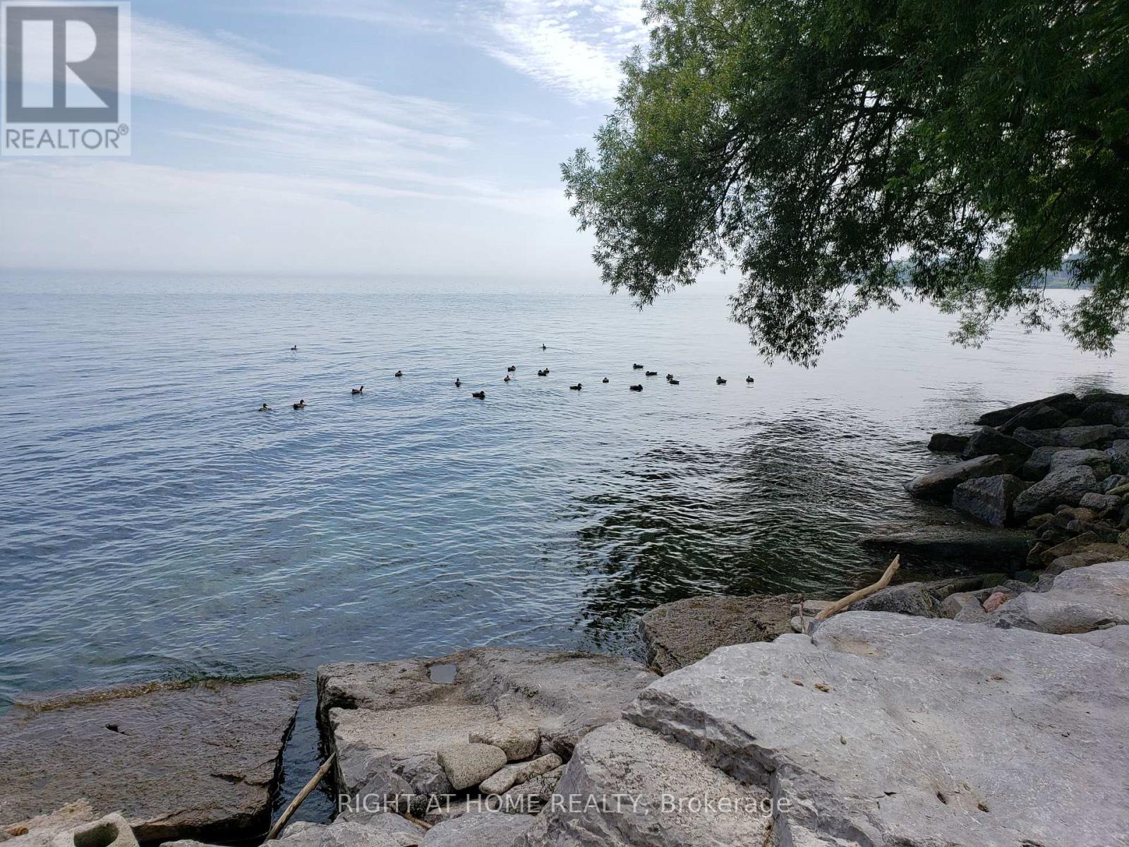 2673 Lake Shore Boulevard W, Toronto, Ontario  M8V 1G6 - Photo 3 - W12780100