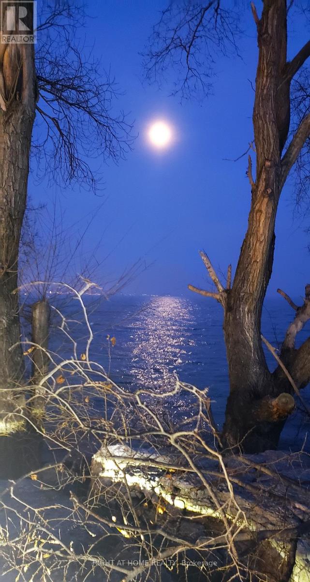 2673 Lake Shore Boulevard W, Toronto, Ontario  M8V 1G6 - Photo 38 - W12780100