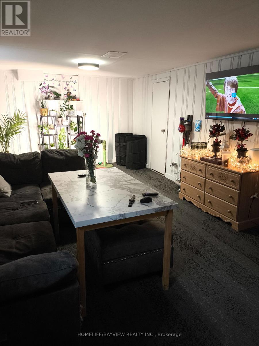 Basement - 45 Cartier Crescent, Richmond Hill, Ontario  L4C 2M9 - Photo 4 - N12716732