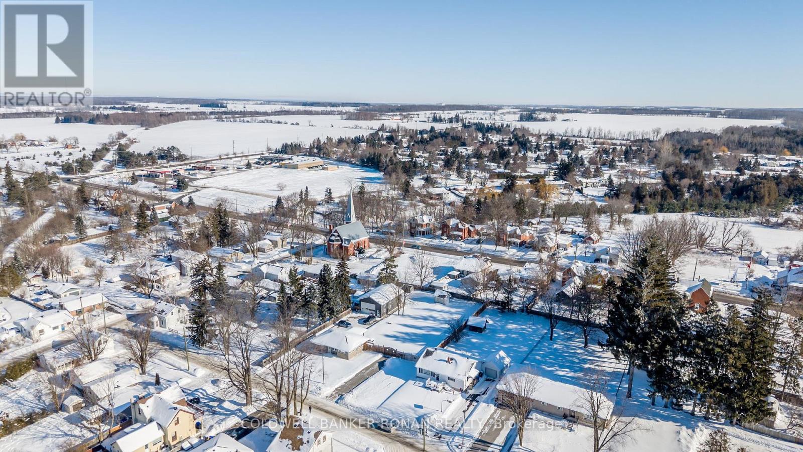 10 Stoddart Street, Essa, Ontario  L0L 2N0 - Photo 18 - N12673280