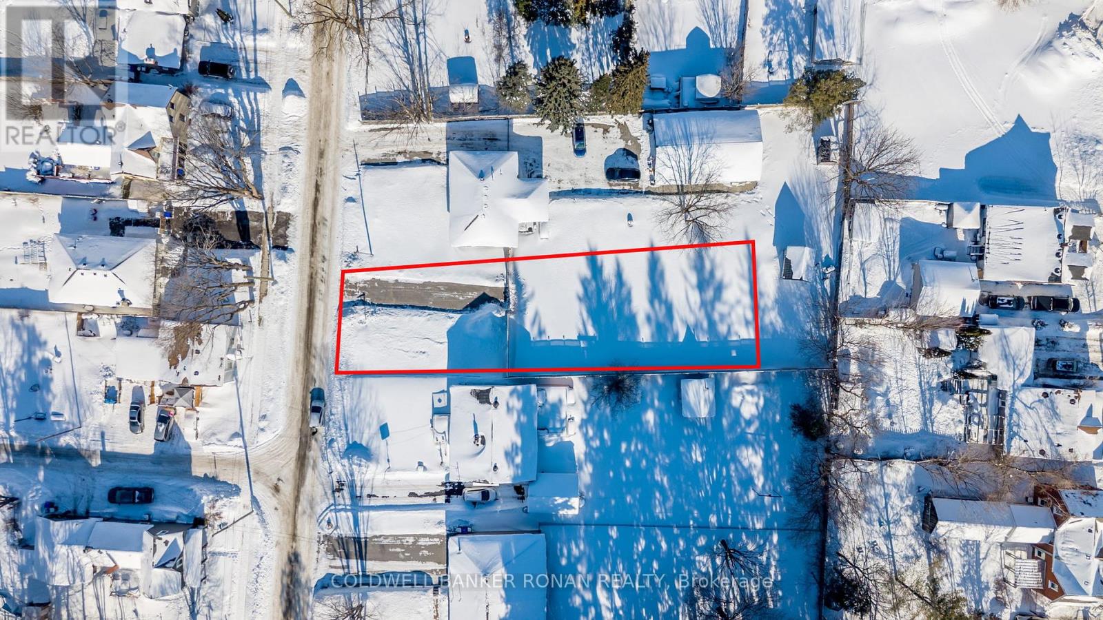 10 Stoddart Street, Essa, Ontario  L0L 2N0 - Photo 4 - N12673280