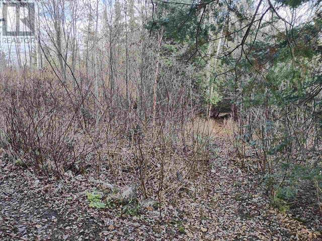 1290 Piccard Ave, Thunder Bay, Ontario  P7L 0H0 - Photo 1 - TB2600220