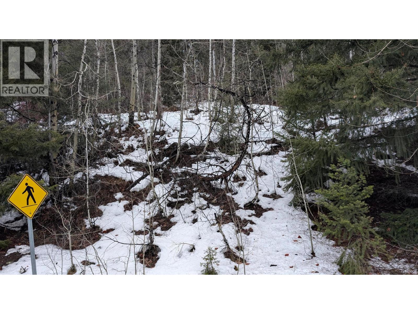 Dl 671 Bralorne Road, Bralorne, British Columbia  V0K 1P0 - Photo 10 - 10375393