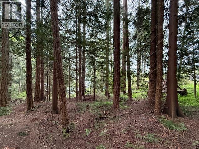 Lot 10 Elphinstone Avenue, Gibsons, British Columbia  A9A 9A9 - Photo 8 - R3089017