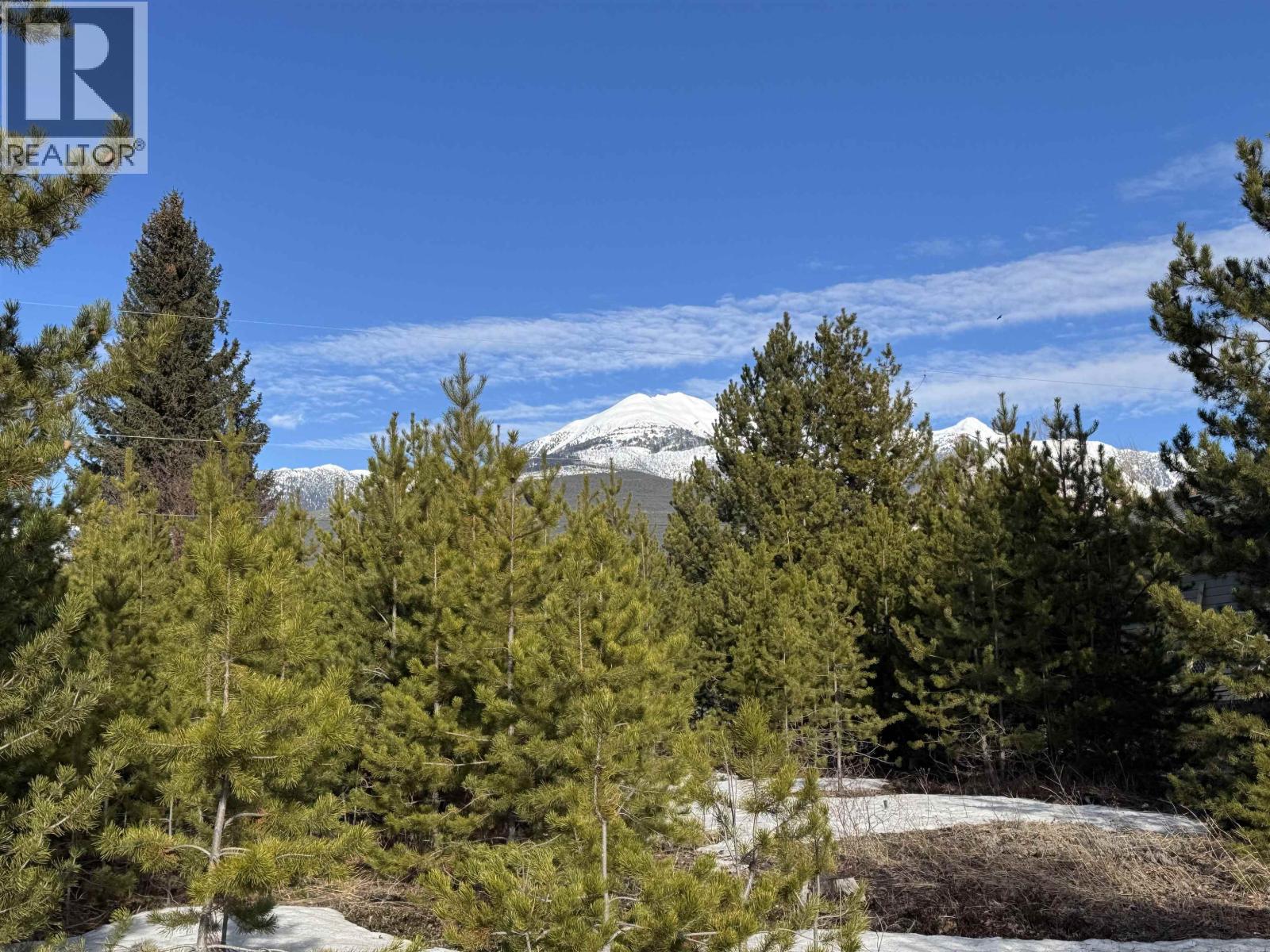 1330 9th Avenue, Valemount, British Columbia  V0E 2Z0 - Photo 5 - R3088747