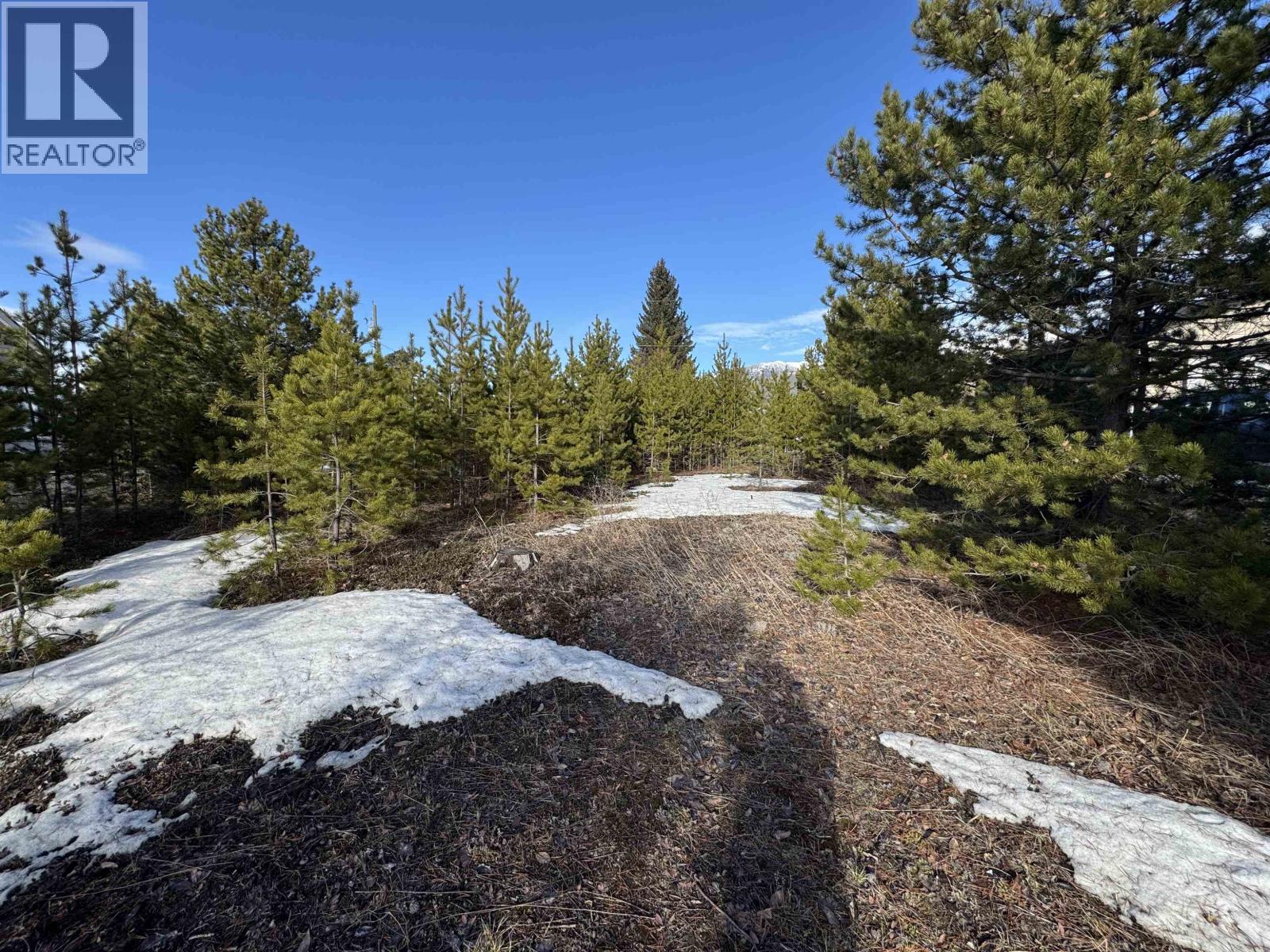 1330 9th Avenue, Valemount, British Columbia  V0E 2Z0 - Photo 6 - R3088747