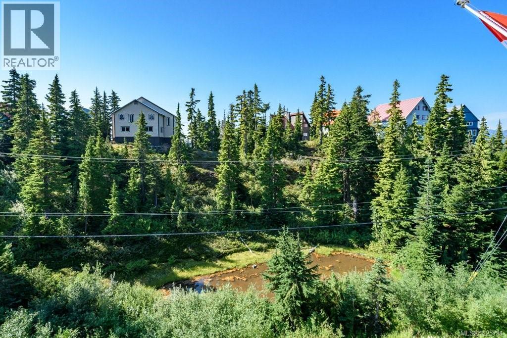 D 828 Washington Way, Courtenay, British Columbia  V9J 1L0 - Photo 58 - 1025794