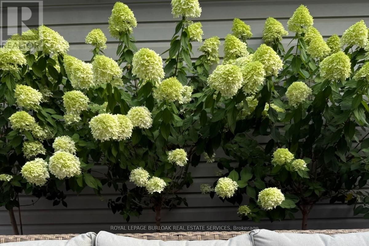 191 Gatwick Drive, Oakville, Ontario  L6H 6T6 - Photo 40 - W12780622