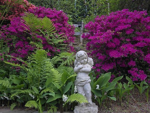 122 43995 Chilliwack Mountain Road, Chilliwack Mountain, Chilliwack, British Columbia  V2R 5M1 - Photo 36 - R3088925