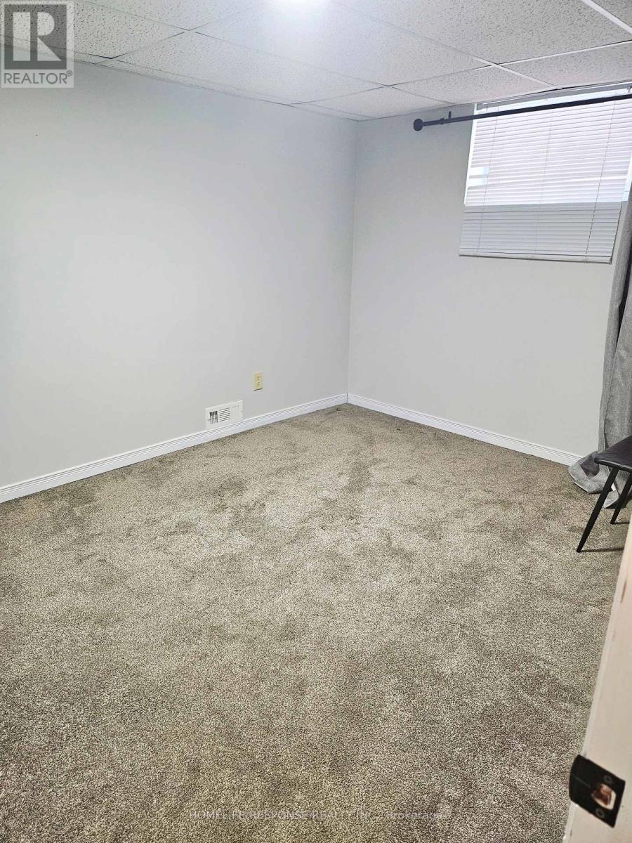 Basement - 678 Mohawk Road, Hamilton, Ontario  L9G 2X3 - Photo 13 - X12780614