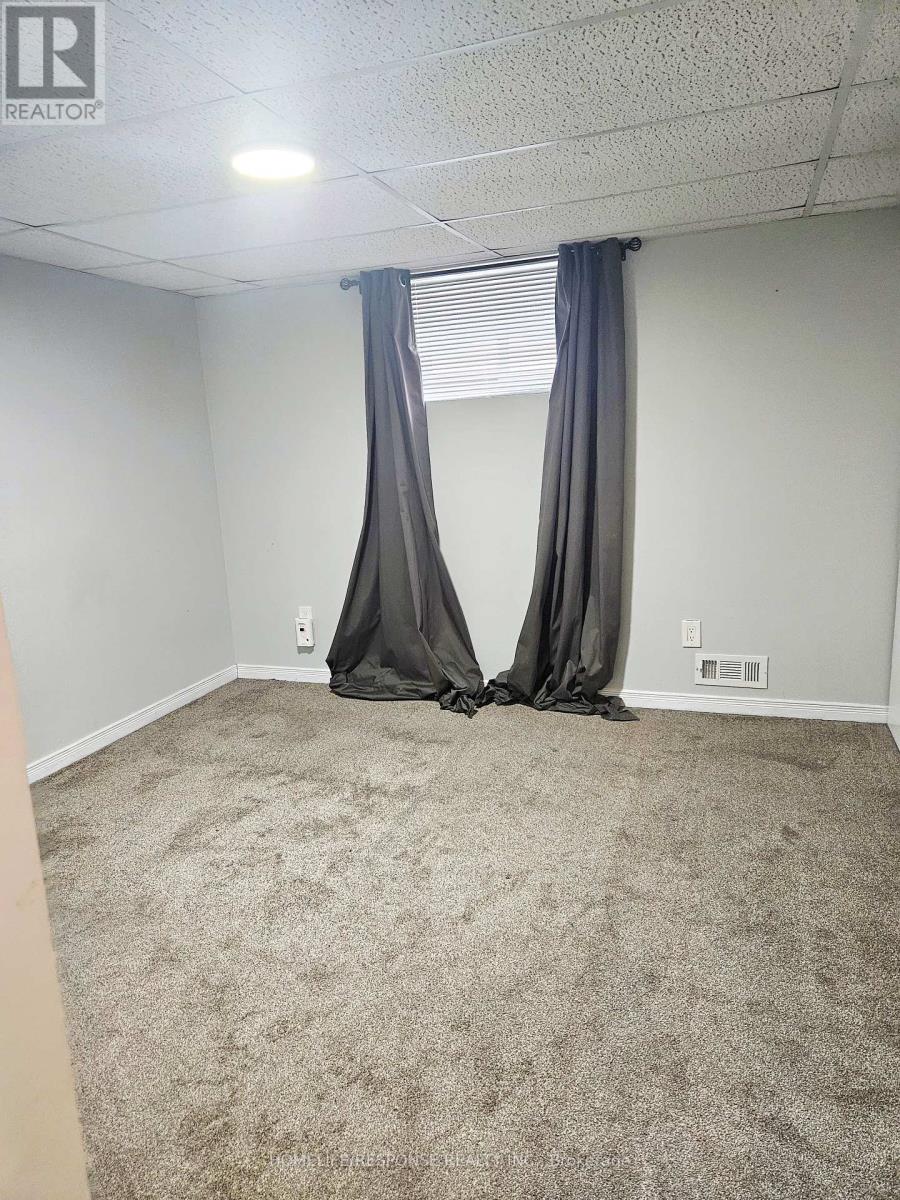 Basement - 678 Mohawk Road, Hamilton, Ontario  L9G 2X3 - Photo 14 - X12780614