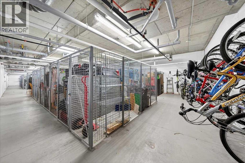 302, 200 Cranfield Common Se, Calgary, Alberta  T3M 1S2 - Photo 28 - A2284690