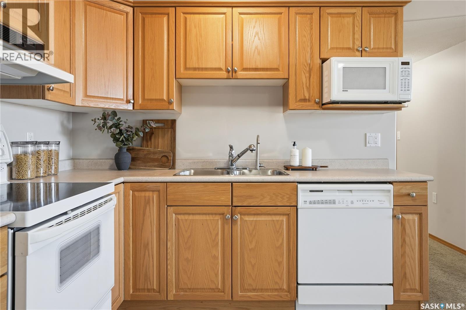 405 205 Mcintyre Street N, Regina, Saskatchewan  S4R 3B7 - Photo 7 - SK028386