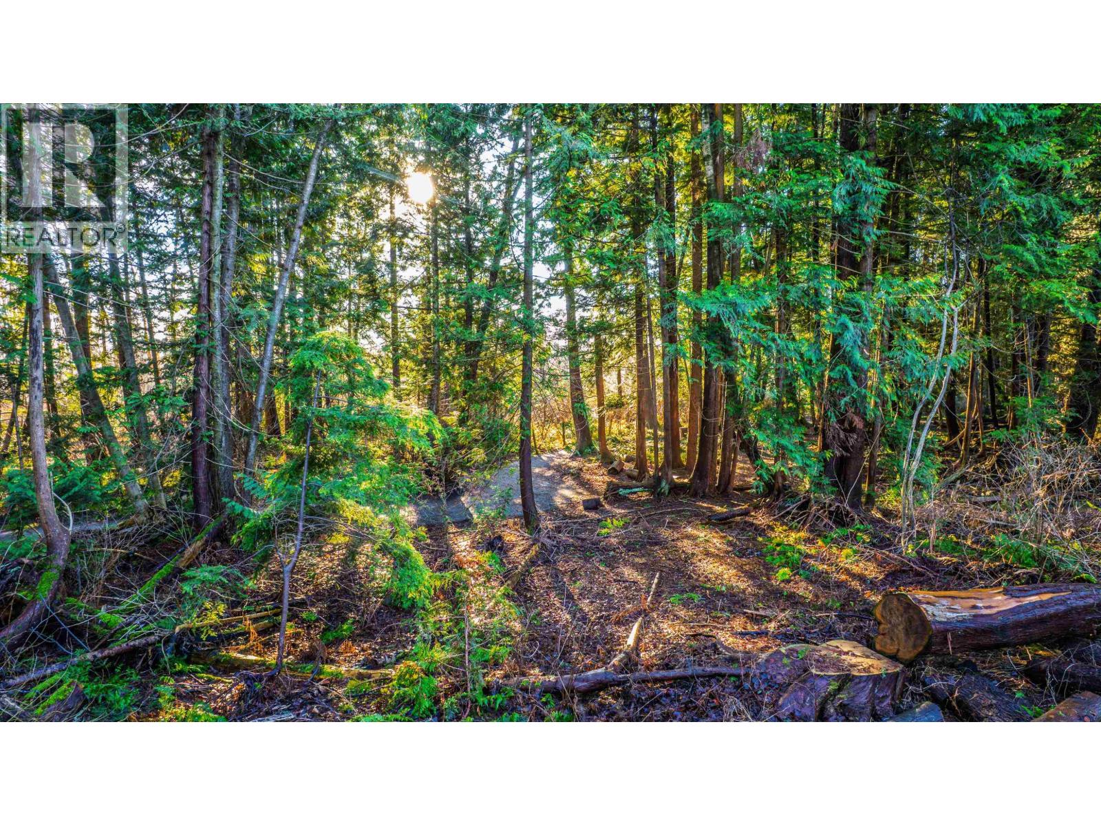 19178 117a Avenue, Pitt Meadows, British Columbia  V3Y 2R3 - Photo 33 - R3089090