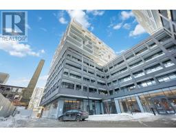 517 - 9 TECUMSETH STREET, Toronto, Ontario