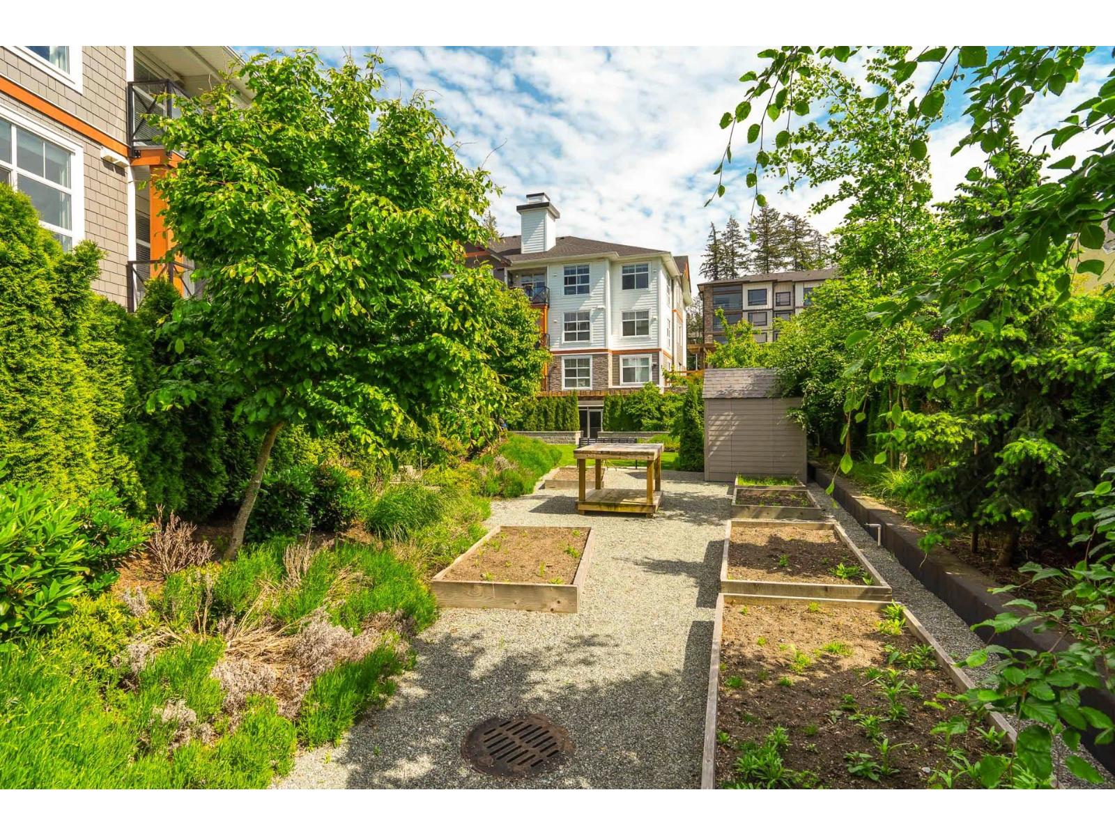 207 14550 Winter Crescent, Surrey, British Columbia  V4P 0G4 - Photo 40 - R3087966