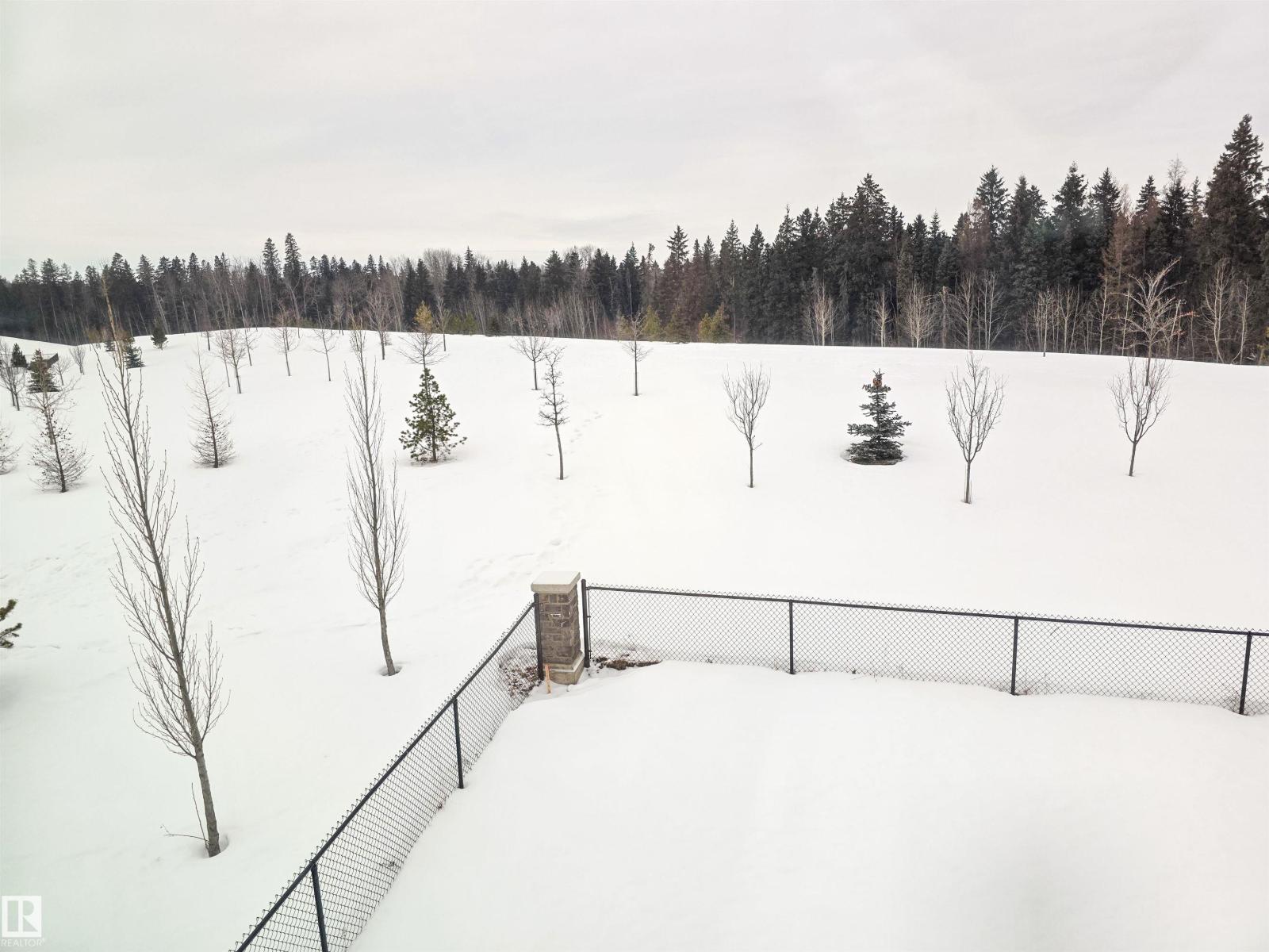 139 Hilton Cv, Spruce Grove, Alberta  T7X 1Y4 - Photo 31 - E4473161