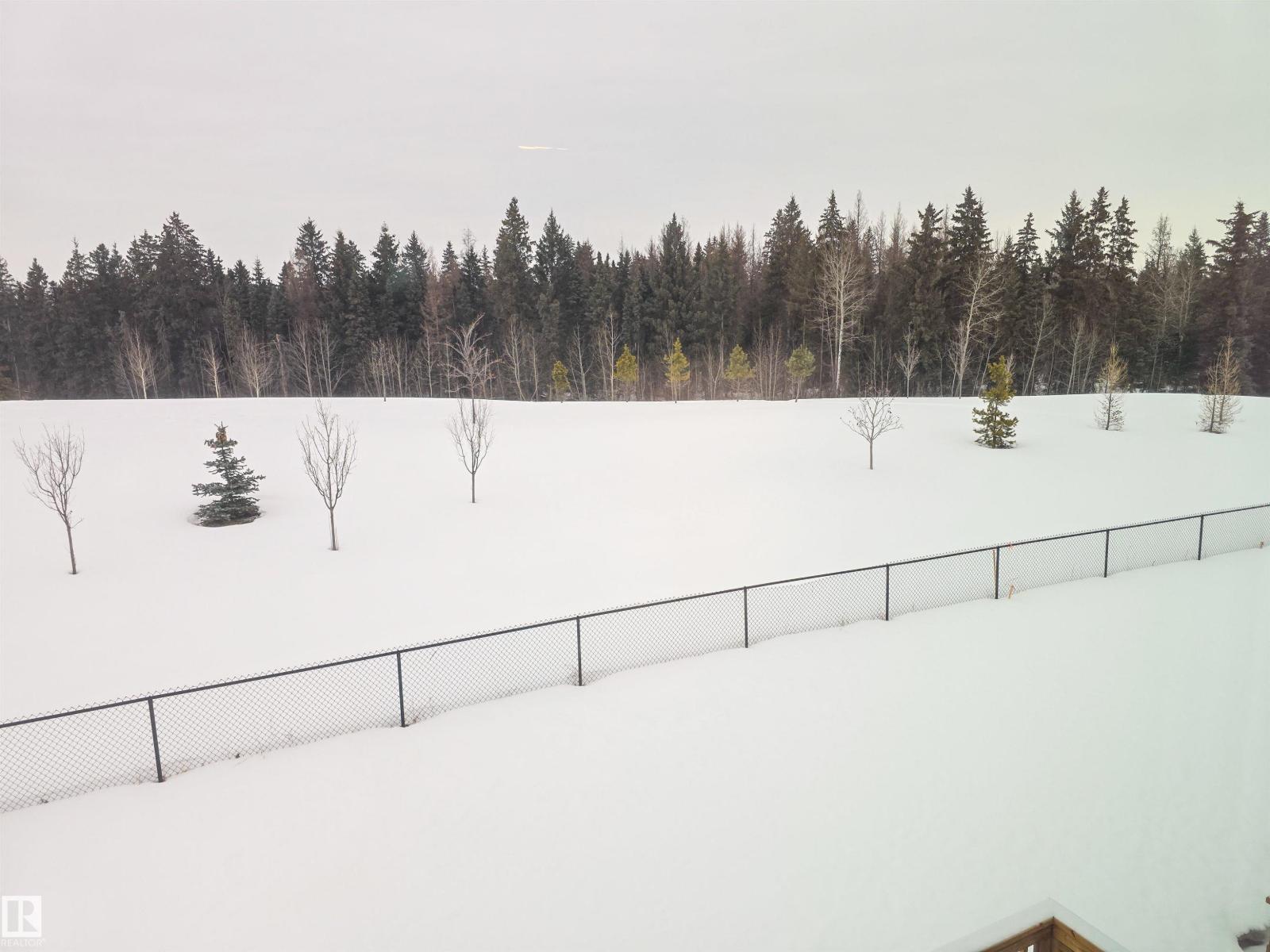 139 Hilton Cv, Spruce Grove, Alberta  T7X 1Y4 - Photo 32 - E4473161