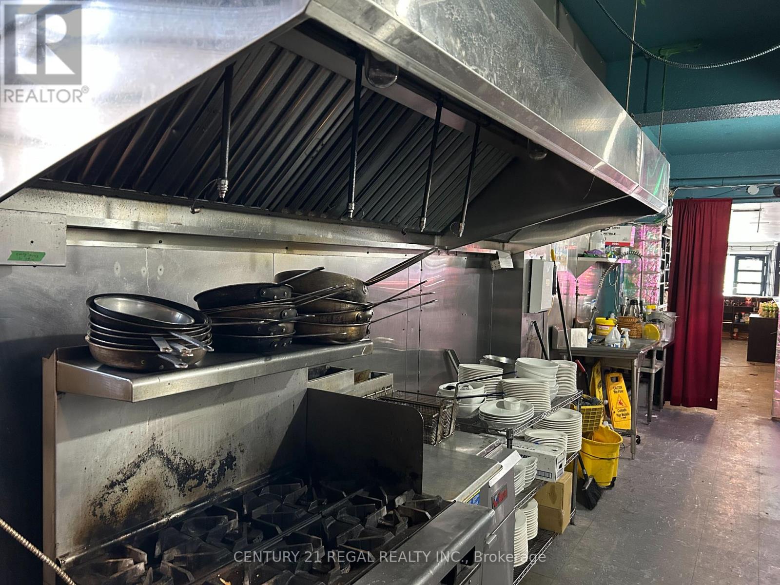 1166 Dundas Street W, Toronto, Ontario  M6J 1X4 - Photo 9 - C12725316