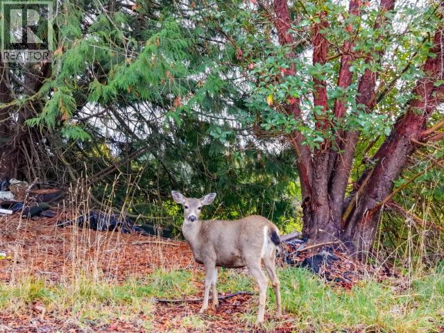 5358 Earl Street, Texada Island, British Columbia  V0N 3K0 - Photo 14 - 19437