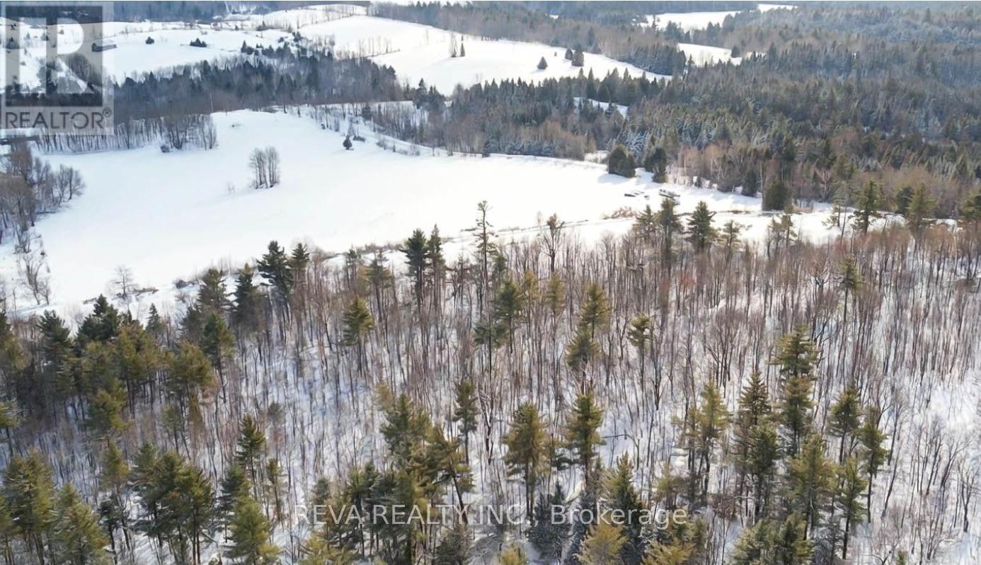 1048 Kennelly Mountain Road, Greater Madawaska, Ontario  K7V 3Z7 - Photo 16 - X12732392