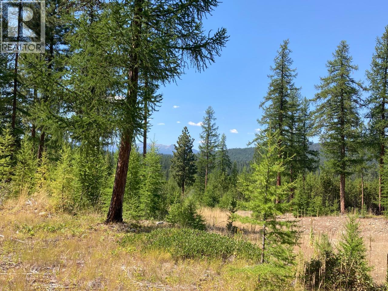 127 Ponderosa Point, Kimberley, British Columbia  V1A 0A5 - Photo 8 - 10375627