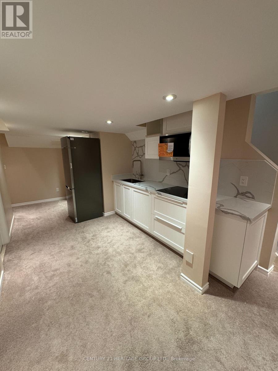 Bsmt - 59 Old Colony Road, Richmond Hill, Ontario  L4E 3V2 - Photo 2 - N12781322