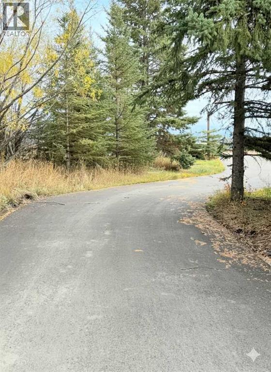 322060 Range Road 261, Rural Kneehill County, Alberta  T0M 2B0 - Photo 16 - A2285757