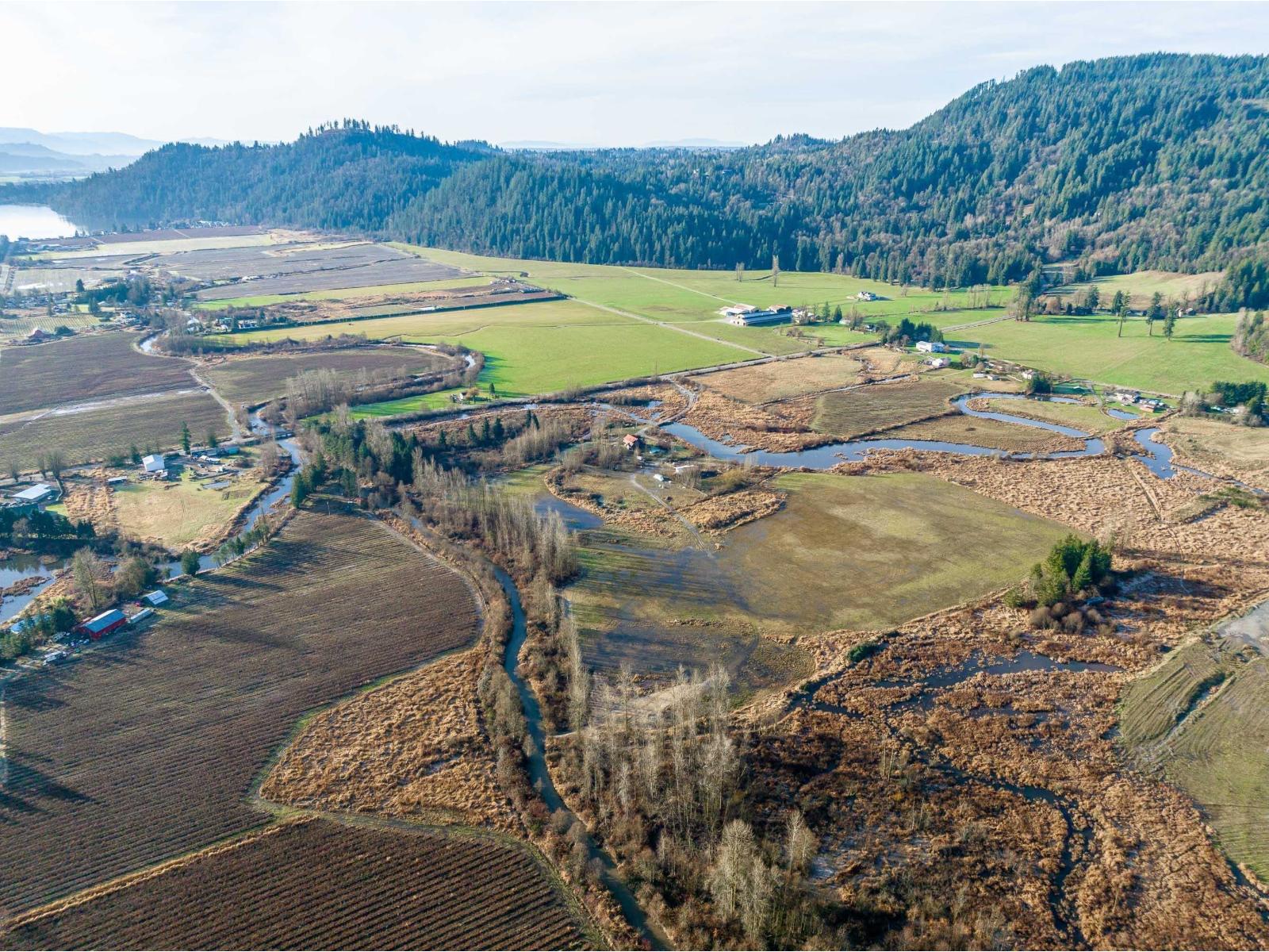 34995 Dale Road, Mission, British Columbia  V2V 0B7 - Photo 6 - R3087766